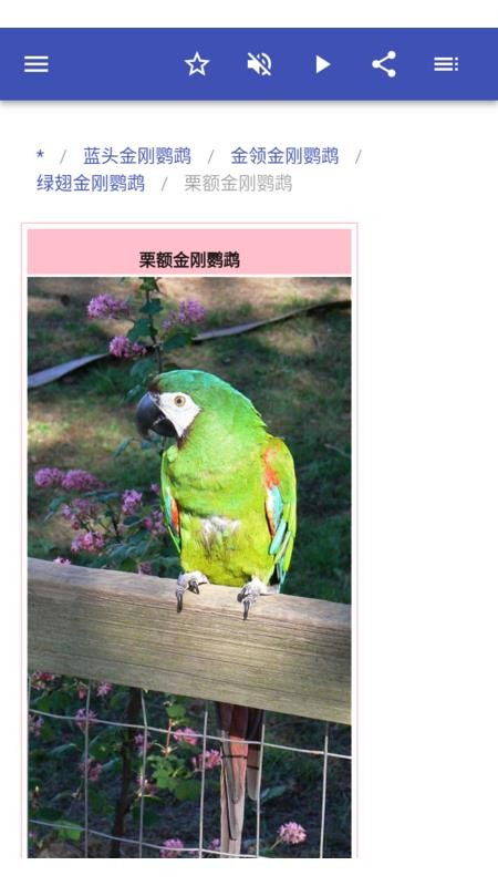 鹦鹉系统下载安卓版,轻松掌控生活
