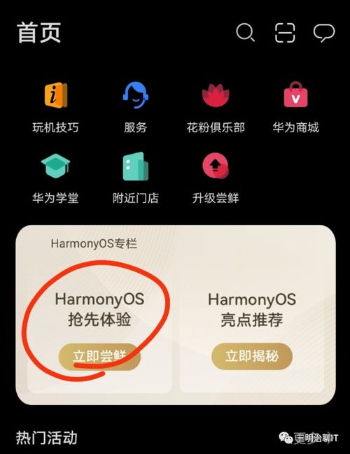 安卓系统可以更新鸿蒙,系统更新引领智能终
