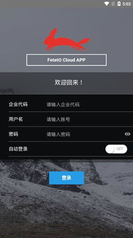 安卓系统没有遇见飞天,未遇飞天之谜