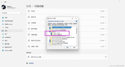 安卓子系统不能使用钉钉,探索钉钉替代方案