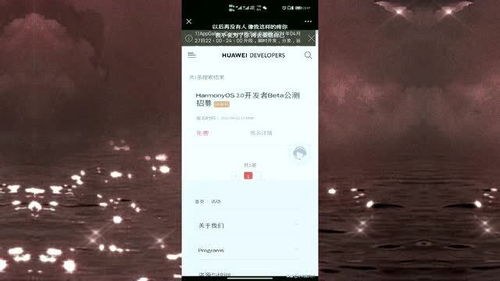 安卓鸿蒙系统哪个好一点,哪个更胜一筹？