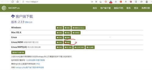 安卓系统能搭建服务器吗,构建移动端服务器