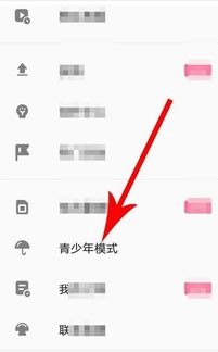 安卓系统设置青少年模式的app,探索安卓
