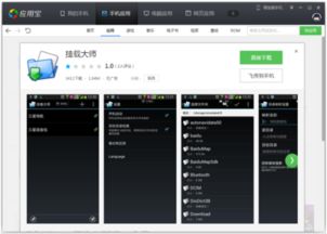安卓系统设置外置sd卡只读,安卓系统外置