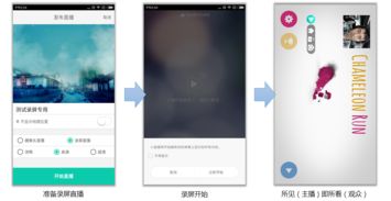 安卓的两套系统包括什么,原生与定制版系统