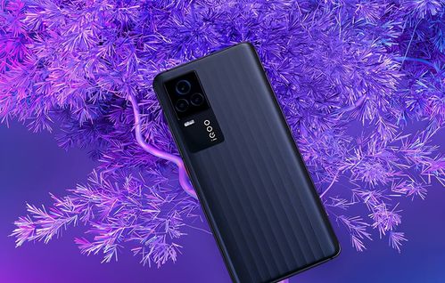 iQOO7安卓12怎么降级系统,轻松回归
