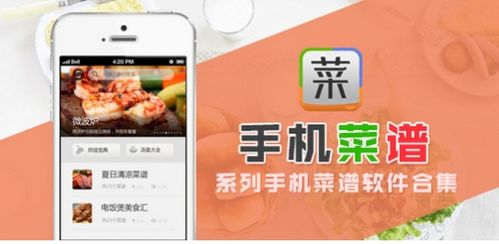 菜谱系统安卓版下载安装,安卓版下载安装指