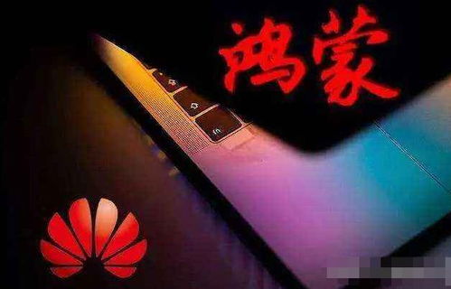 鸿蒙系统支持安卓微信吗,畅享无缝沟通体验