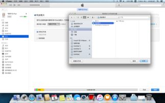安卓手机照片怎么传输到mac系统,轻松将