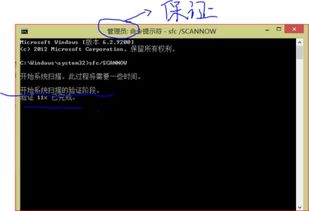 安卓系统符号显示不出来,安卓系统符号显示