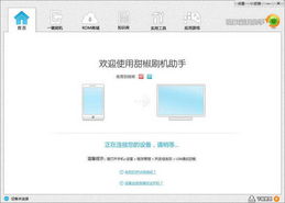 美版能刷系统吗安卓版,美版安卓设备轻松实