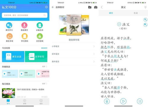 安卓系统支持哪些电视剧,海量精彩剧作任你