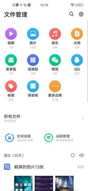 z5x是安卓什么系统,安卓系统背后的神秘