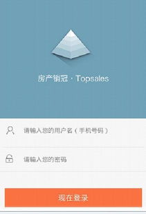 下载统计分析系统安卓版,深度解析移动端数