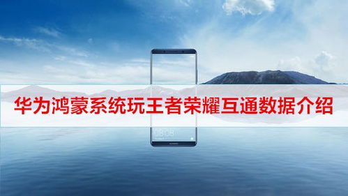 王者荣耀鸿蒙系统和安卓互通吗,安卓互通新