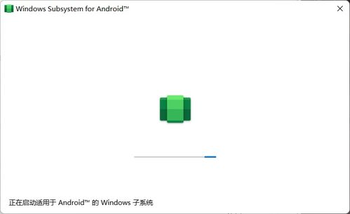 6300u装安卓子系统,探索6300u芯