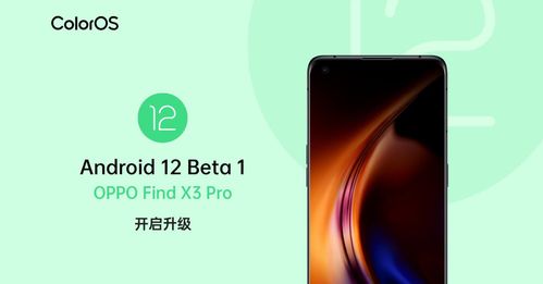 安卓12 1系统正式版oppo,OPPO