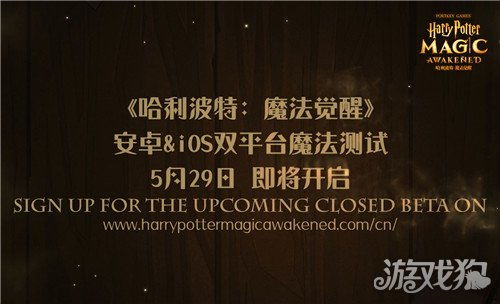 哈利波特安卓系统登入ios账号,畅享跨平