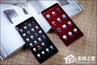 坚果pro2系统升到安卓9,畅享安卓9系