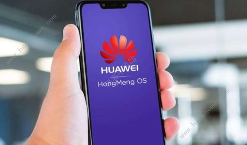 安卓8系统不同之处在哪,深度解析与不同之