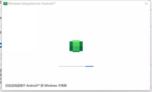 什么情况下安卓子系统,传统节日的现代传承