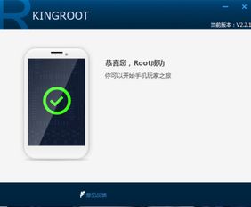 安卓手机root后删系统软件,Root后