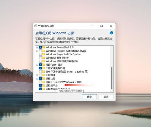 安装win11安卓子系统教程,Win11