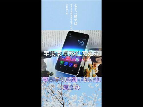苹果电脑桌面做安卓系统,探索安卓系统上的