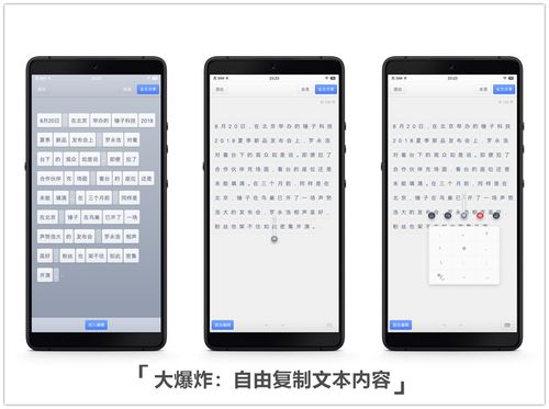坚果2s是不是安卓系统,深度解析安卓系统